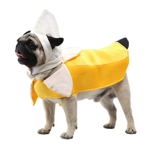 Essence Peel Paws β Playful Banana Dog Costume