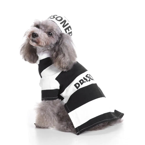 Essence Inmate Ruff– Prisoner Dog Costume