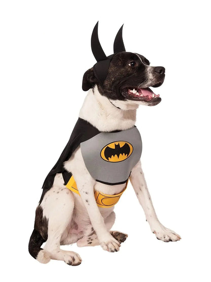 Essence Dark Paw Knight – Heroic Bat Dog Costume